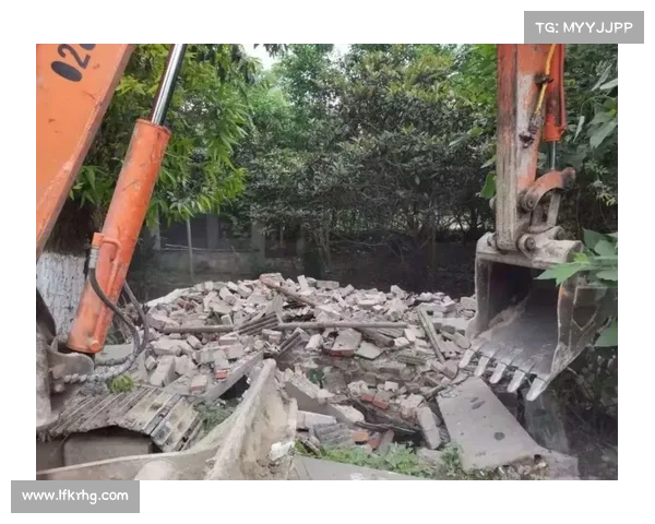 冰洁师成长之路:从入门到精通的全方位技能提升指南 冰洁师成长之路:从入门到精通的全方位技能提升指南