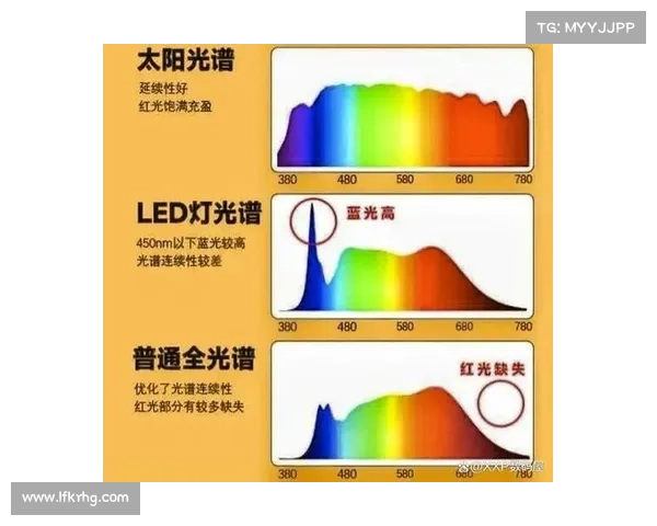 探索虹色世界的奥秘揭示自然光谱与人类感知的奇妙关系 探索虹色世界的奥秘揭示自然光谱与人类感知的奇妙关系